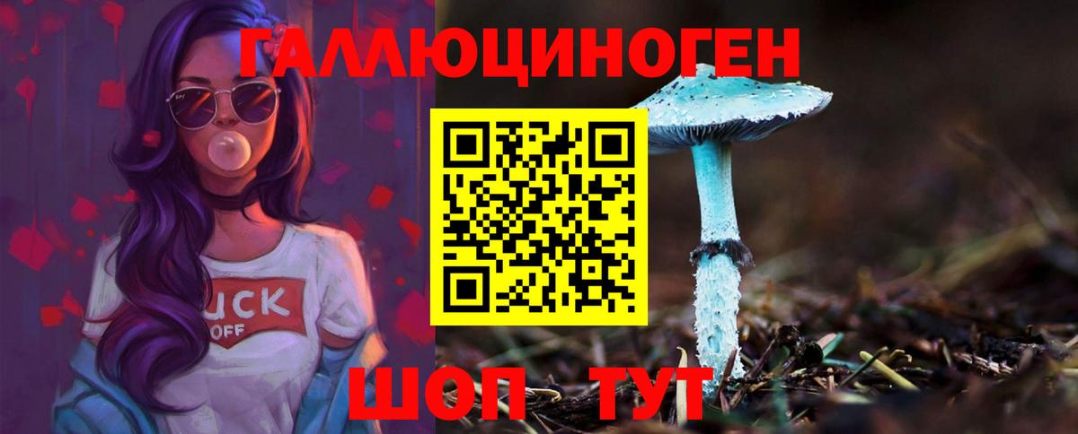 Псилоцибиновые грибы мухоморы  Вход с VPN  Псилоцибиновые грибы прущие грибы  Выборг 